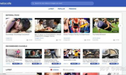 欧美网站视频,揭秘热门话题与现象背后的故事