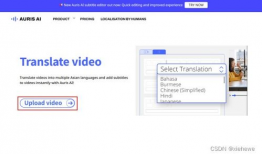 视频翻译字幕软件,智能翻译软件的革新应用