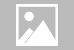 青青河边草视频,探寻自然之美与生命感悟